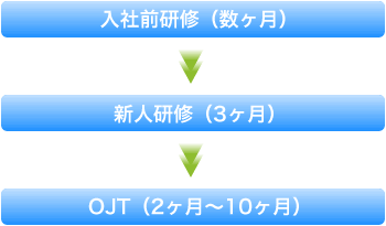 入社前研修(数ヶ月)
↓
新人研修(3ヶ月)
↓
OJT(2ヶ月～10ヶ月)